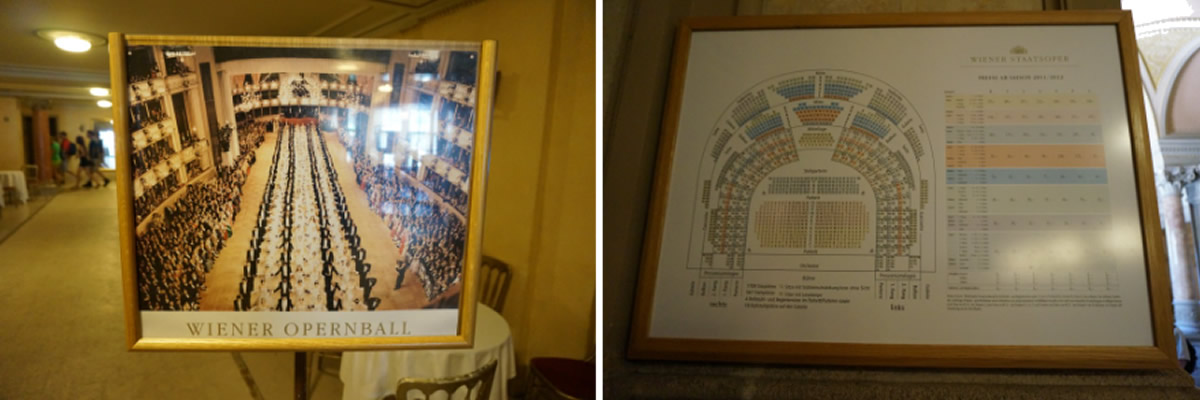 Vienna State Opera House Picture Frame